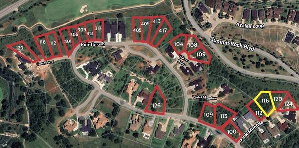116 Pink Mimosa, Horseshoe Bay, TX 78657