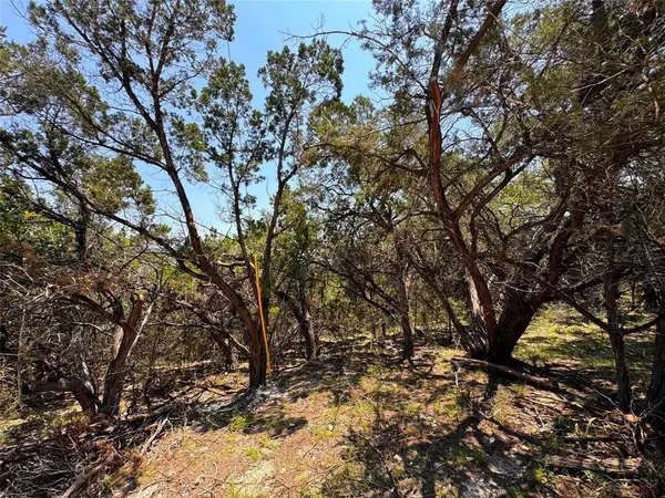 557 Dusty Saddle, Canyon Lake, TX 78133