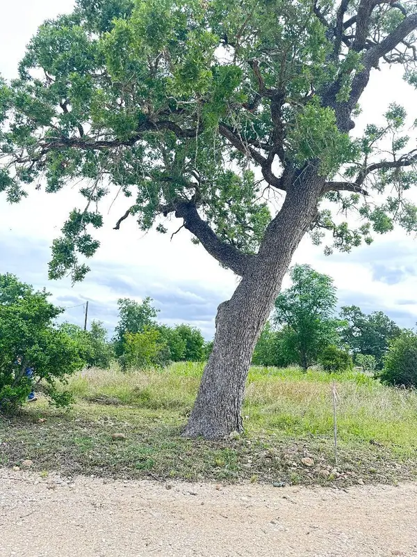 136 Wild Bird LOOP, Smithville, TX 78957