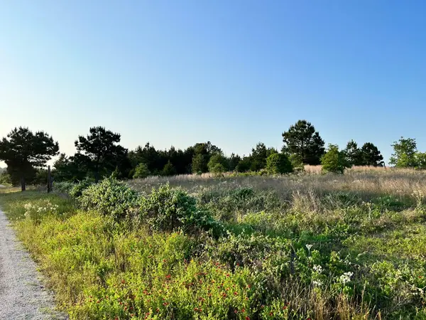 Lot 27 Kinsey Rd, Paige, TX 78659