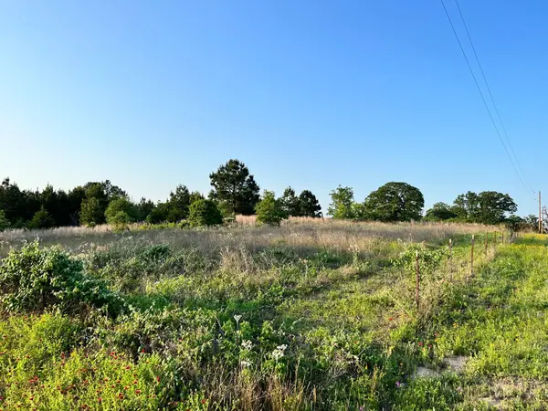 Lot 27 Kinsey Rd, Paige, TX 78659