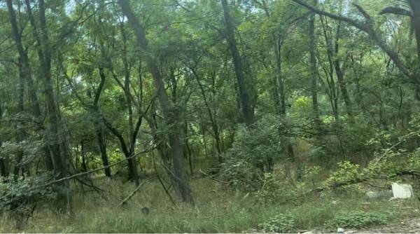 4102 Lower DR, Austin, TX 78725