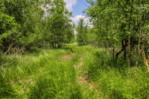 10396 County Road 276 LAND, Somerville, TX 77879