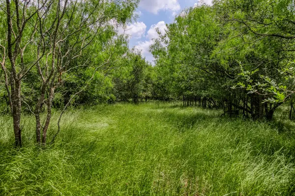 10396 County Road 276 LAND, Somerville, TX 77879