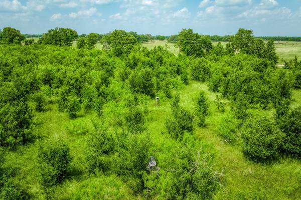 10396 County Road 276 LAND, Somerville, TX 77879