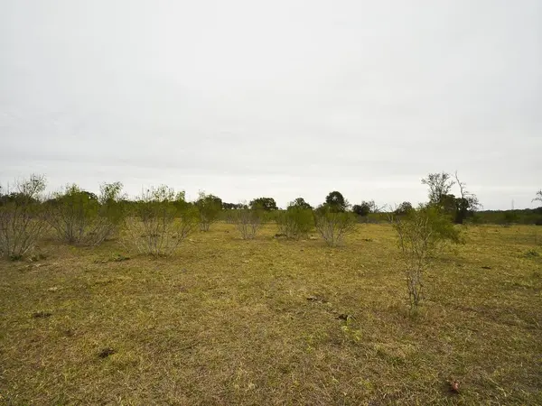 277 FM 672, Dale, TX 78616
