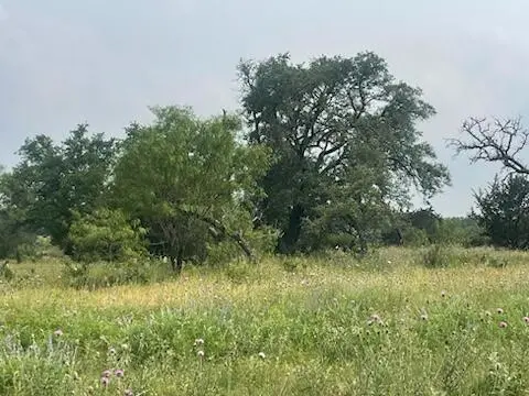 Lot 175 Heartleaf Drive, Lampasas, TX 76550