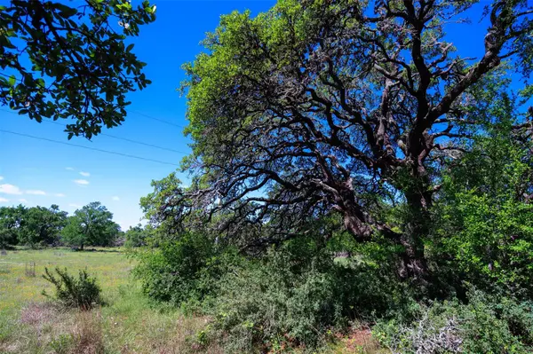 480 Blue Creek DR, Dripping Springs, TX 78620