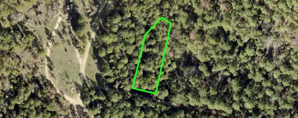 Lot 43 Pine Lodge DR, Bastrop, TX 78602