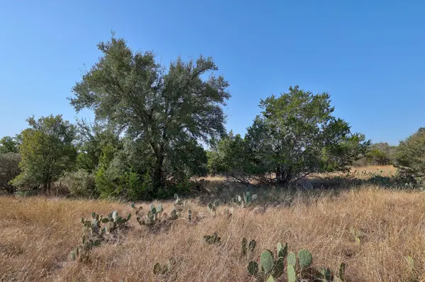 123 Appaloosa CV, Jarrell, TX 76537