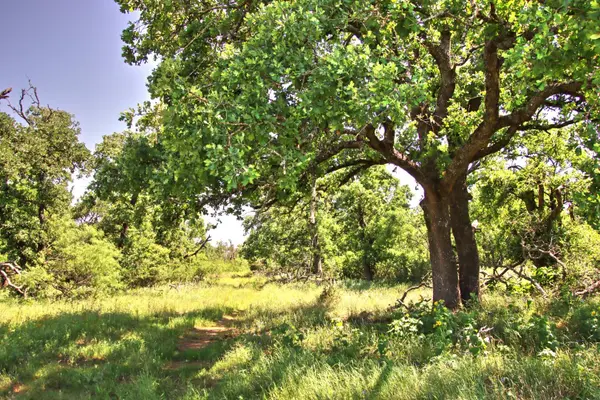 Lot 5 RM 1323, Willow City, TX 78675