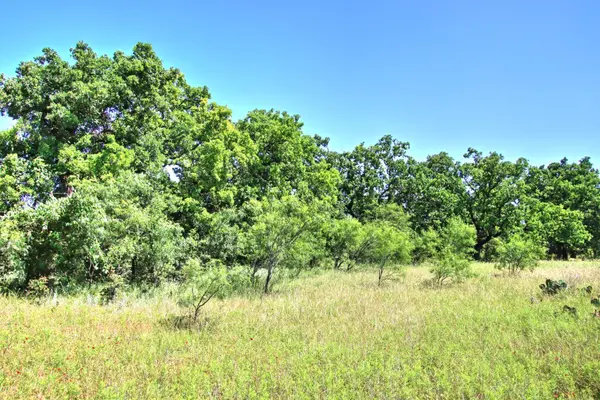 Lot 5 RM 1323, Willow City, TX 78675