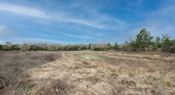 920 Old Potato RD, Paige, TX 78659