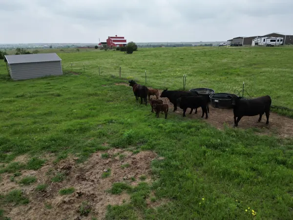 2238 County Road 2109, Lometa, TX 76853
