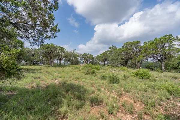 19705 Tyler TRL, Jonestown, TX 78645