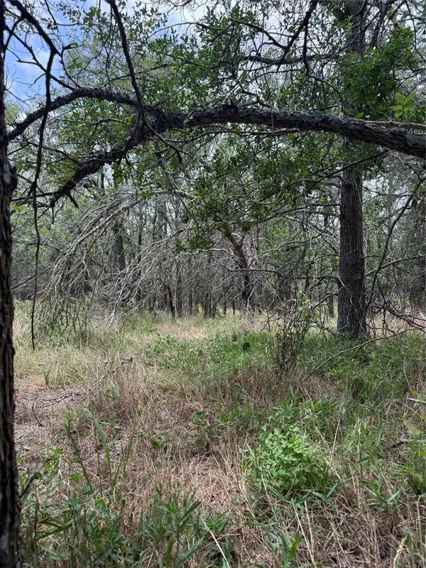 Lot 686 Kawainui LN, Bastrop, TX 78602
