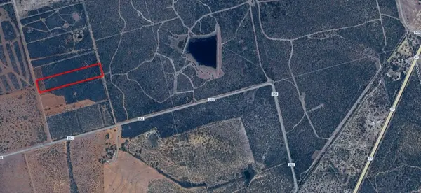 . County Road 354, Charlotte, TX 78011