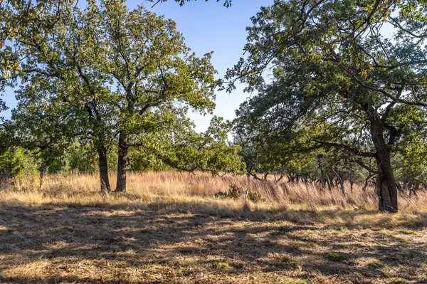 1260 County Road 2001, Lampasas, TX 76550