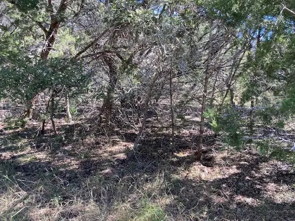 55 York Creek RD, Driftwood, TX 78619