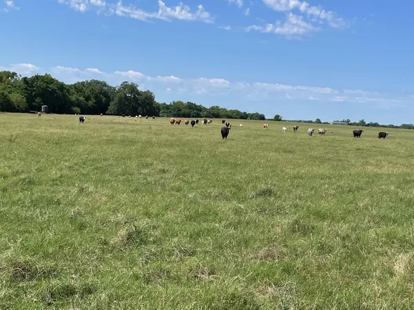 TBD 144.45 acres, Smithville, TX 78957