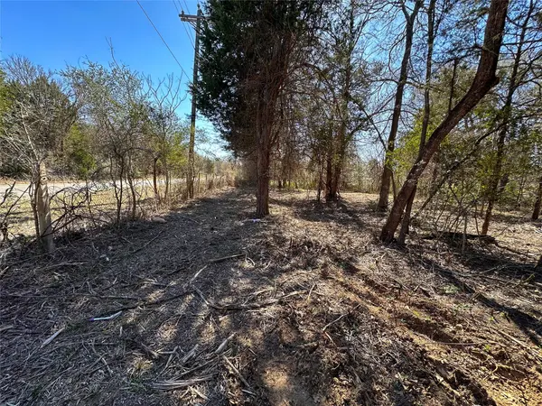TBD Green Valley DR, Bastrop, TX 78602