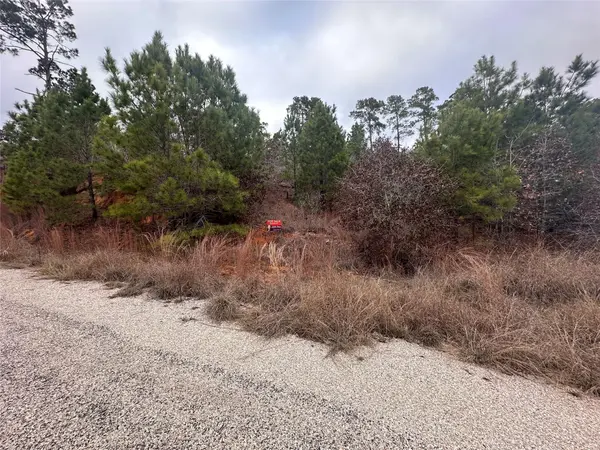 LOT 173 / R32210 Keo Kea CT, Bastrop, TX 78602