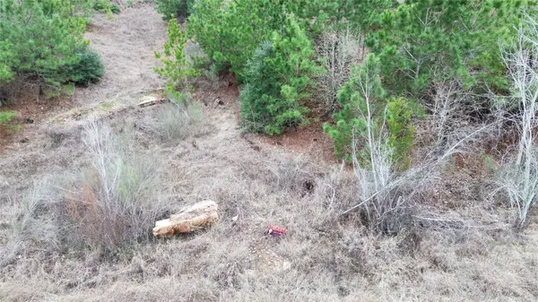 LOT 173 / R32210 Keo Kea CT, Bastrop, TX 78602