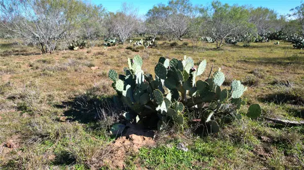 1913 County Road 3000, Pearsall, TX 78061
