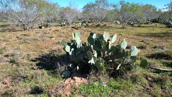 1913 County Road 3000, Pearsall, TX 78061