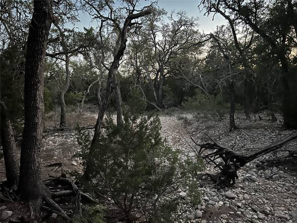 TBD County Road 450, Rocksprings, TX 78880
