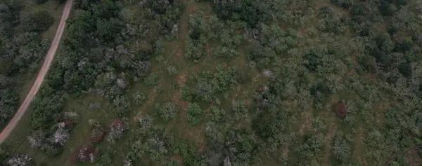 LOT 3 Private Road 4601, Waelder, TX 78959