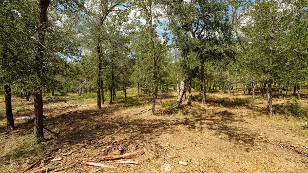 3980 (Tract 5) Fm 3158, Dale, TX 78616