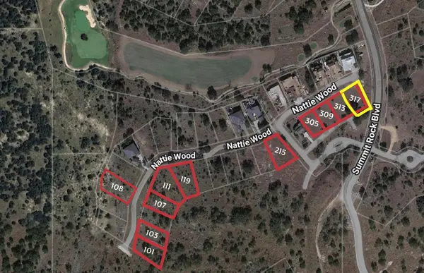 317 Nattie Wood, Horseshoe Bay, TX 78657