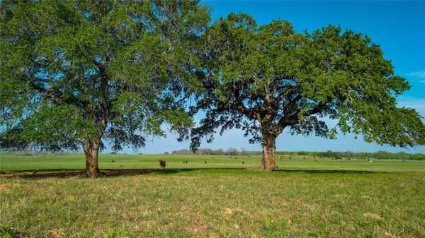 TBD County Road 404, Floresville, TX 78114