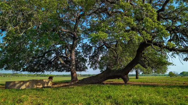 TBD County Road 404, Floresville, TX 78114