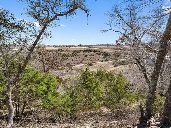 Lot 116 Majestic Hills DR, Blanco, TX 78606