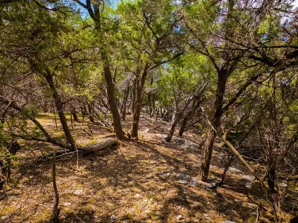 13409 Madrone Mountain WAY, Austin, TX 78737