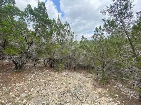20902 Stone Cliff DR, Lago Vista, TX 78645