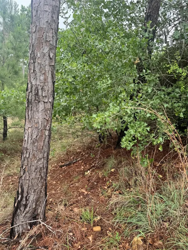 Lots 1612, 1613, 1614 Kaanapali LN, Bastrop, TX 78602