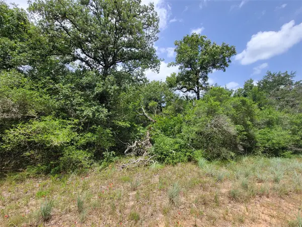 TBD Cheyenne, Hilltop Lakes, TX 77871