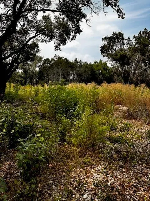 11100 Fifth ST, Jonestown, TX 78645