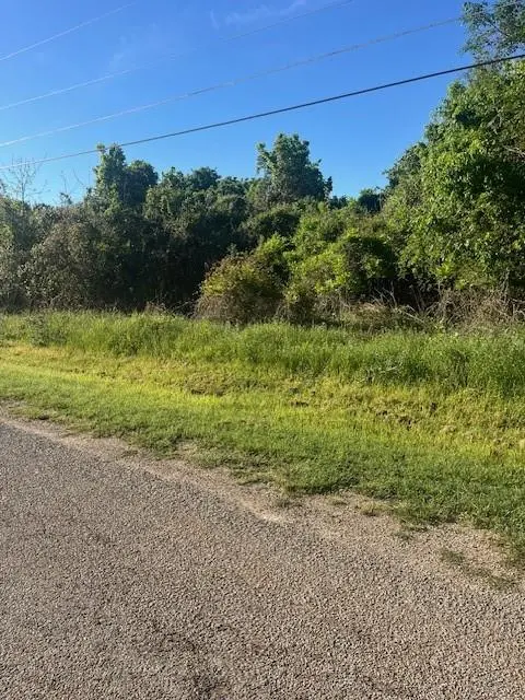 167 Kahana LN, Bastrop, TX 78602