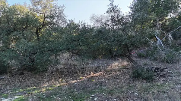20823 Colorado DR W, Spicewood, TX 78669