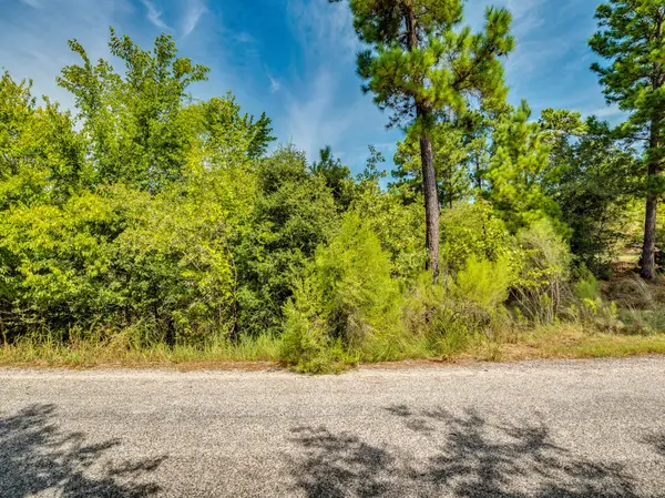 00 Makaha DR, Bastrop, TX 78602