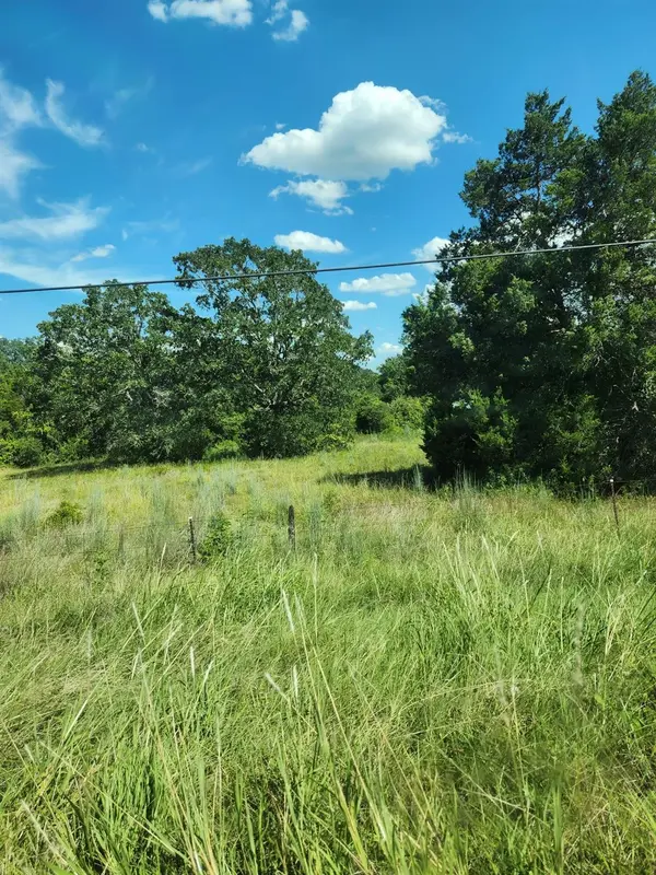 Lot-2 Fm 2336, Bastrop, TX 78602