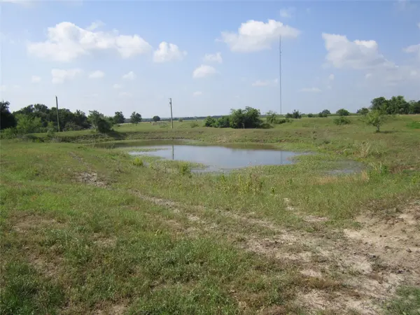 1602 County Road 470, Coupland, TX 78615
