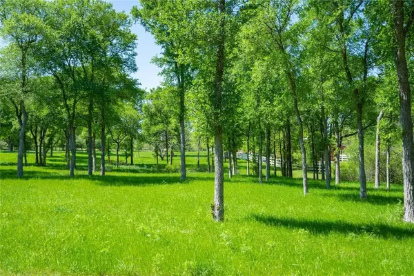 197 Colorado DR, Cedar Creek, TX 78612