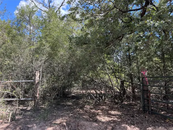 TBD 50.62 Acres Rabel RD, Rosanky, TX 78953
