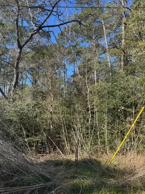 Address not disclosed