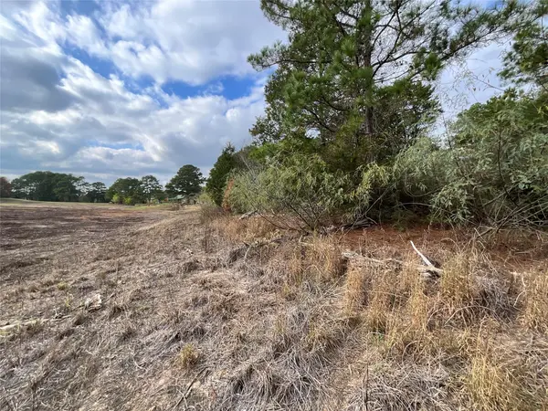 120 Shore Front DR, Bastrop, TX 78602